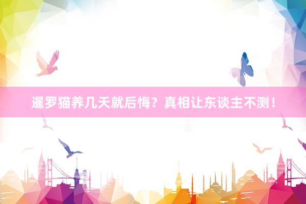 暹罗猫养几天就后悔？真相让东谈主不测！